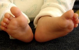 small-feet-1436227